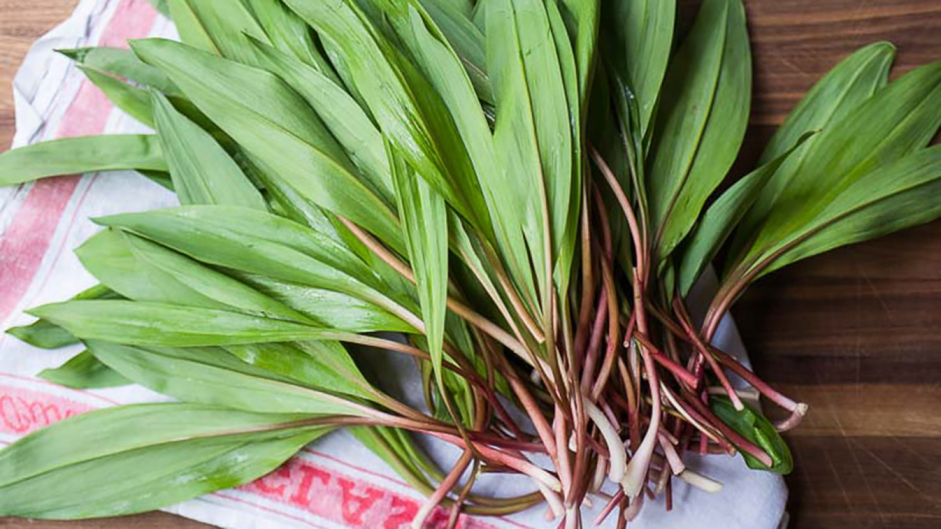 
					Ramps, aka wild garlic					 					Jennifer Eremeeva / MT				