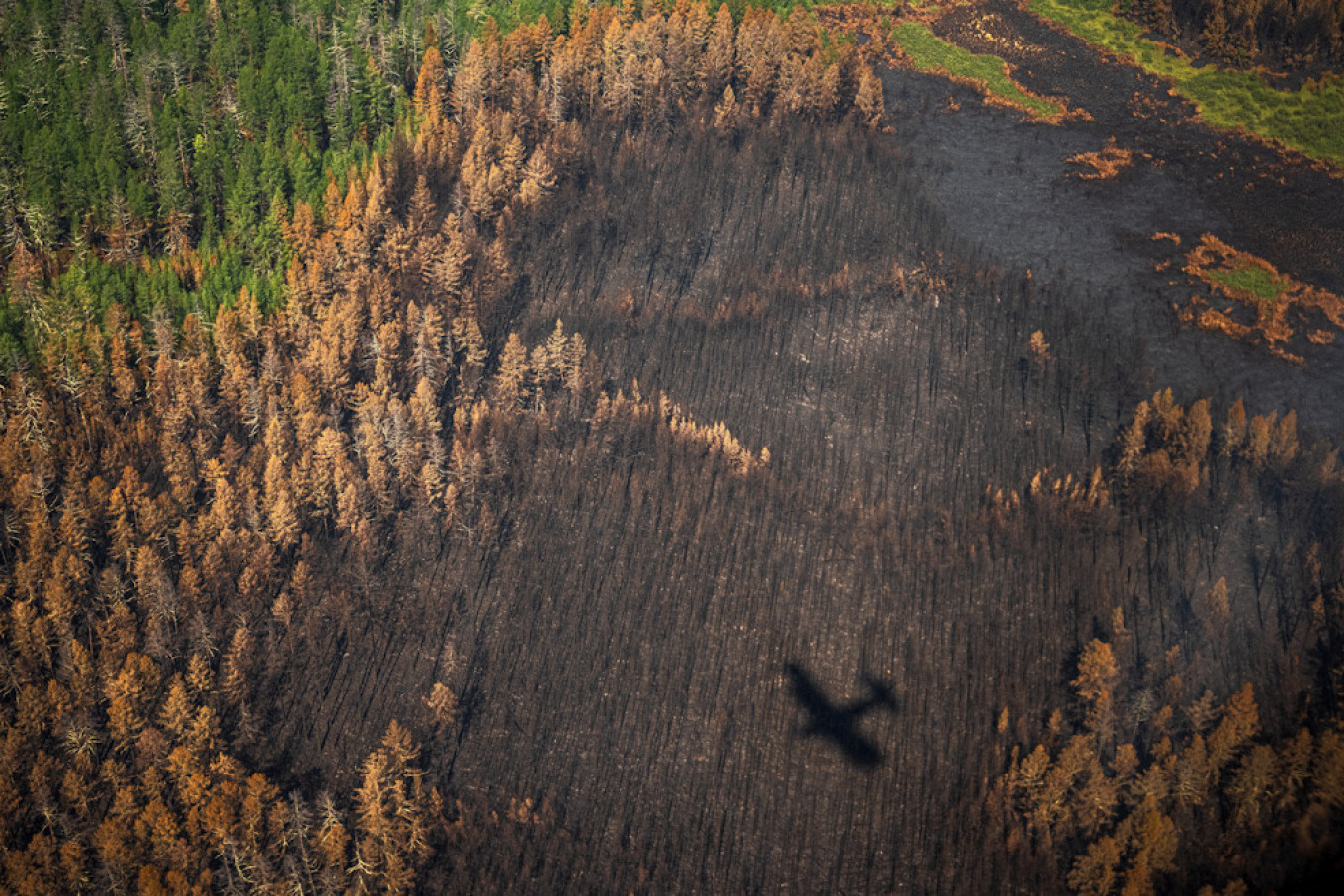 
					Teams track the fires by air and drop in by parachute or on off-road trucks.					 					Dimitar Dilkoff / AFP				