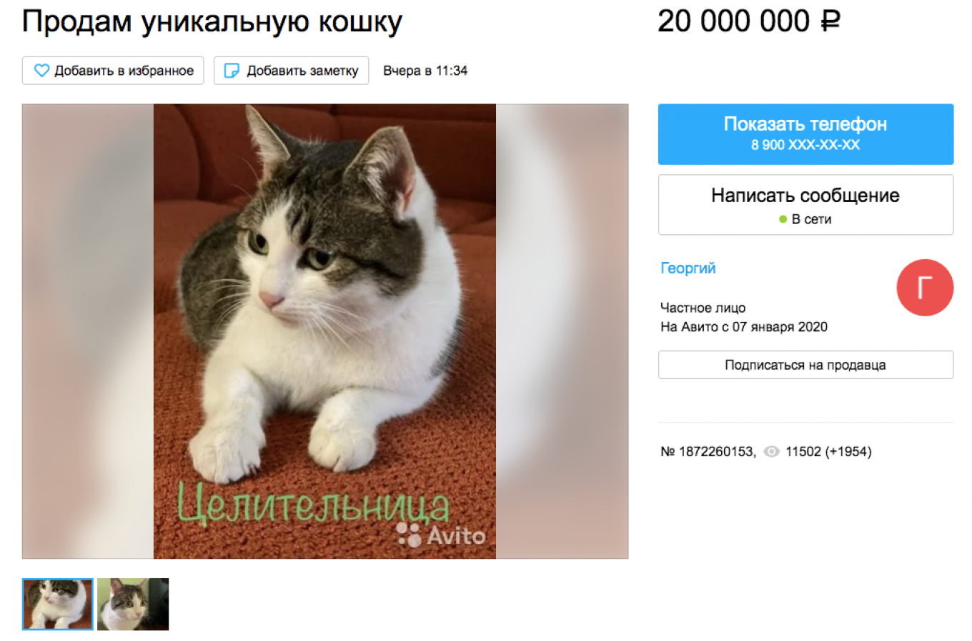 Russian ‘Healing’ Cat Goes on Sale for $320K - The Moscow Times