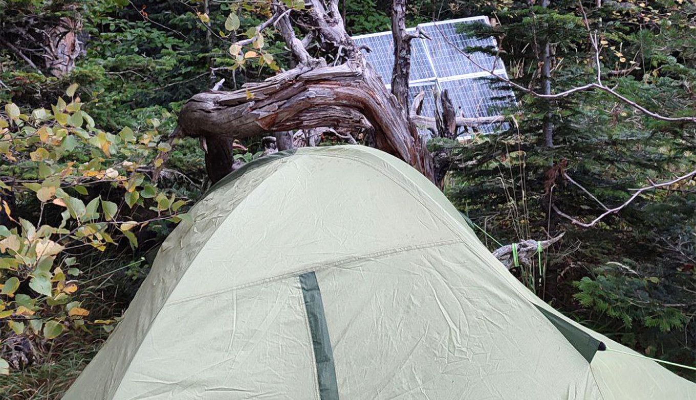 
					A tent and solar panels used by an IT specialist hiding from mobilization in the forests of southern Russia.					 					t.me/force_resistance				