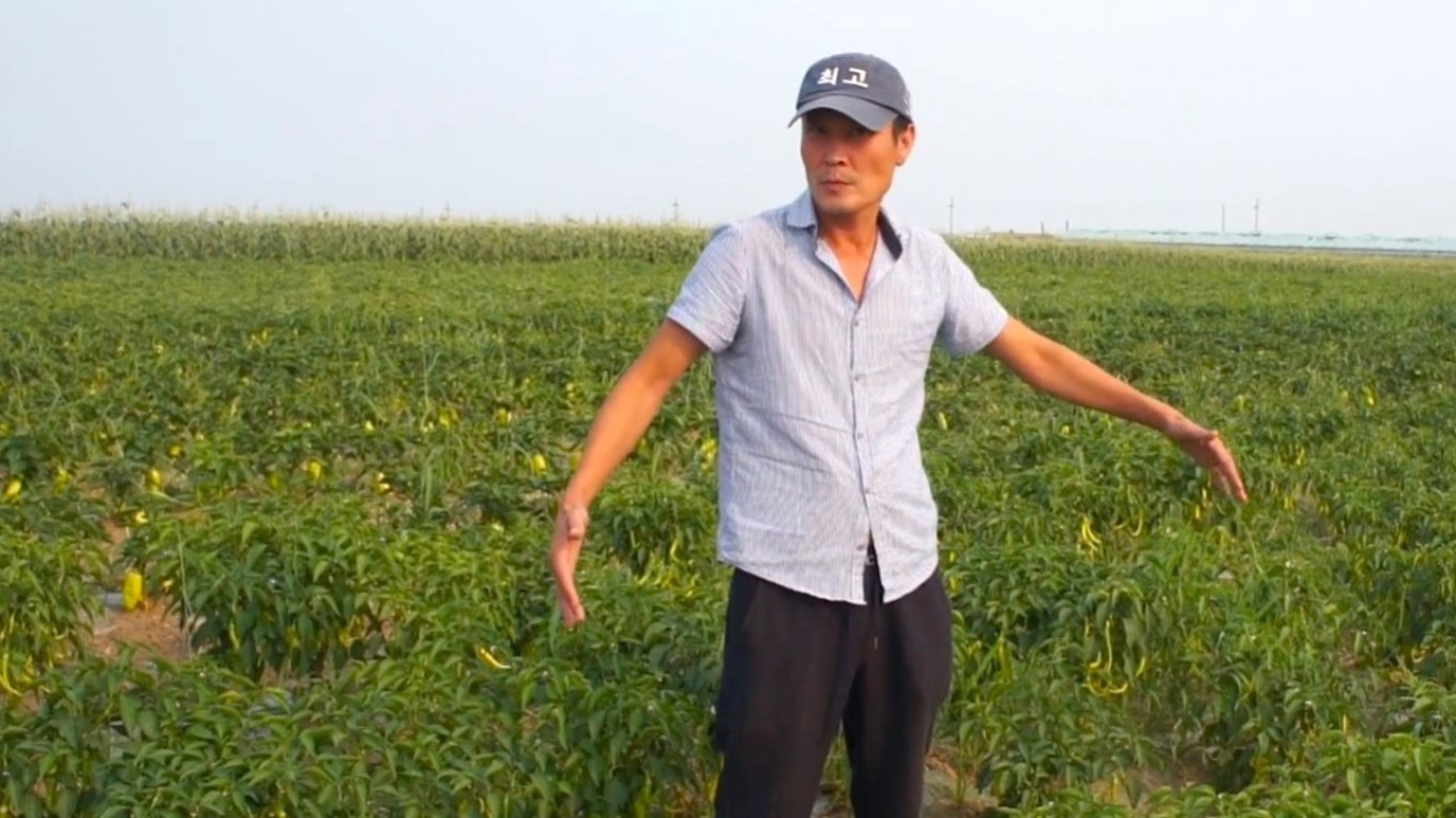 
					Korean farmer Arthur Em grows watermelons and melons in Sakha. 					 					Courtesy of authors				