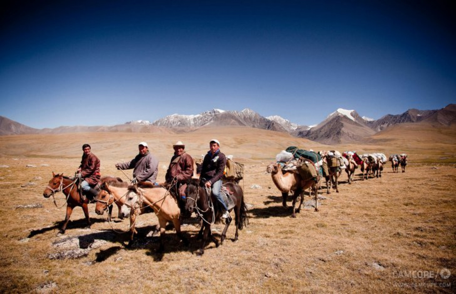 The Life of a Nomad in Mongolia's Gobi Desert