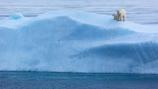 Climate Skeptics Muddy Russians' Understanding of Warming Planet - Vimarsana News
