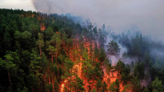 In Photos: Disastrous Wildfires Sweep Siberia - The Moscow Times