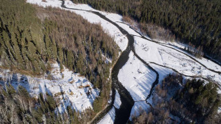 Russia in 2021: As Climate Crisis Rages, Scientists Fear the Worst is Yet to Come - Vimarsana News