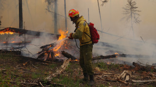 Soul of Siberia　Wild Siberia fired 3467.jpg?width=1200&height=900