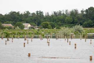 Ukraine Dam's Destruction Increases Mines Threat: Red Cross - Vimarsana News