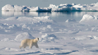 Russian Arctic Temps Now Hotter Than in Mediterranean - Vimarsana News