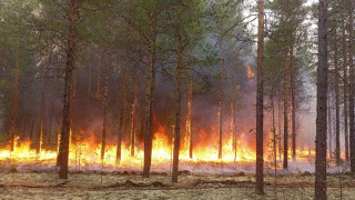 Soul of Siberia　Wild Siberia fired 2f2u8x1k1dgqiebx5qxyo6c2bfwr6y