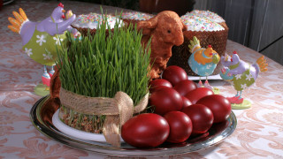 Colored Easter Eggs: Life After the Party - The Moscow Times - Vimarsana News