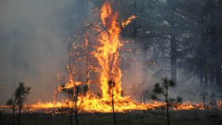 Soul of Siberia　Wild Siberia fired Siberia on fire – every summer – Faktantarkistusblogi