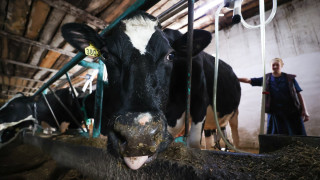 themoscowtimes.com - Russia's Small-Farm Lobby Seeks Urgent State Aid