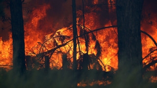 Soul of Siberia　Wild Siberia fired State of emergency declared in Siberia over raging wildfires