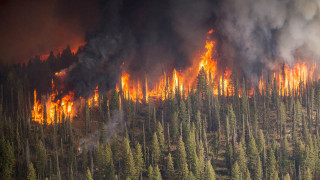 Soul of Siberia　Wild Siberia fired 16Russia-forests1-