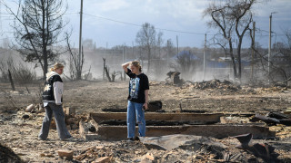 Russia's War on Environmental NGOs Robs Country of Conservation Resources - Vimarsana News