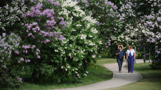 What's On in Moscow May 21-24 - The Moscow Times - Vimarsana News