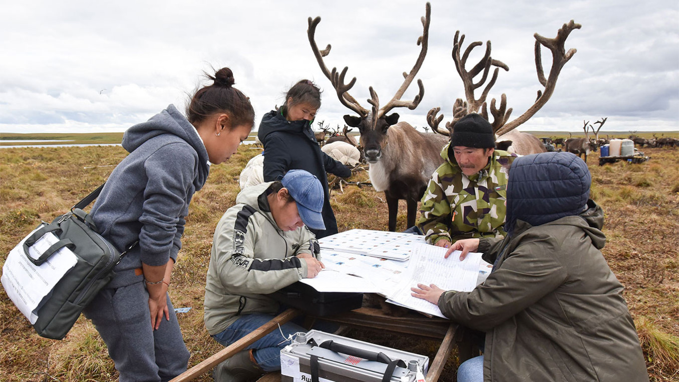 In Photos: Reindeer Herders in Russia's Far North Vote Early in Regional Elections
