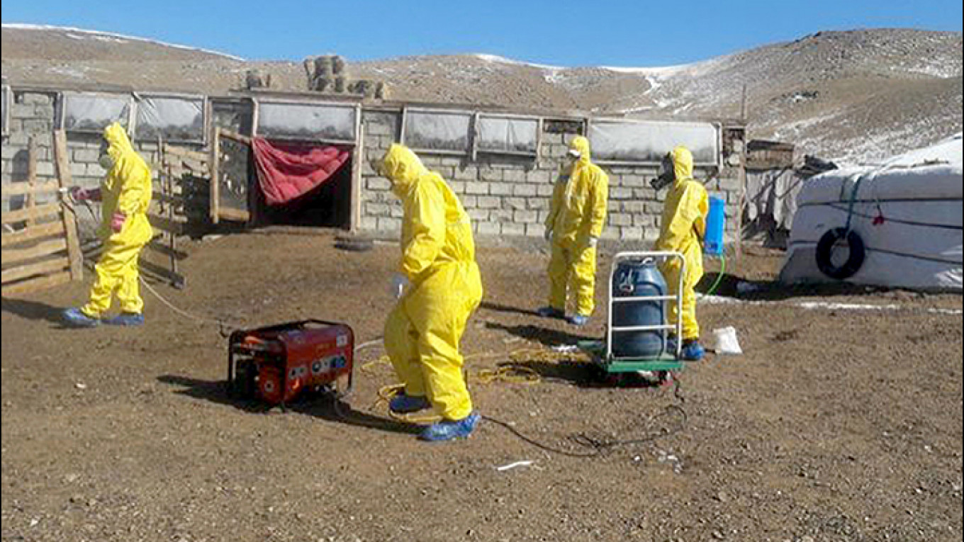 Bubonic Plague Scare Closes Russia-Mongolia Border, Trapping ...