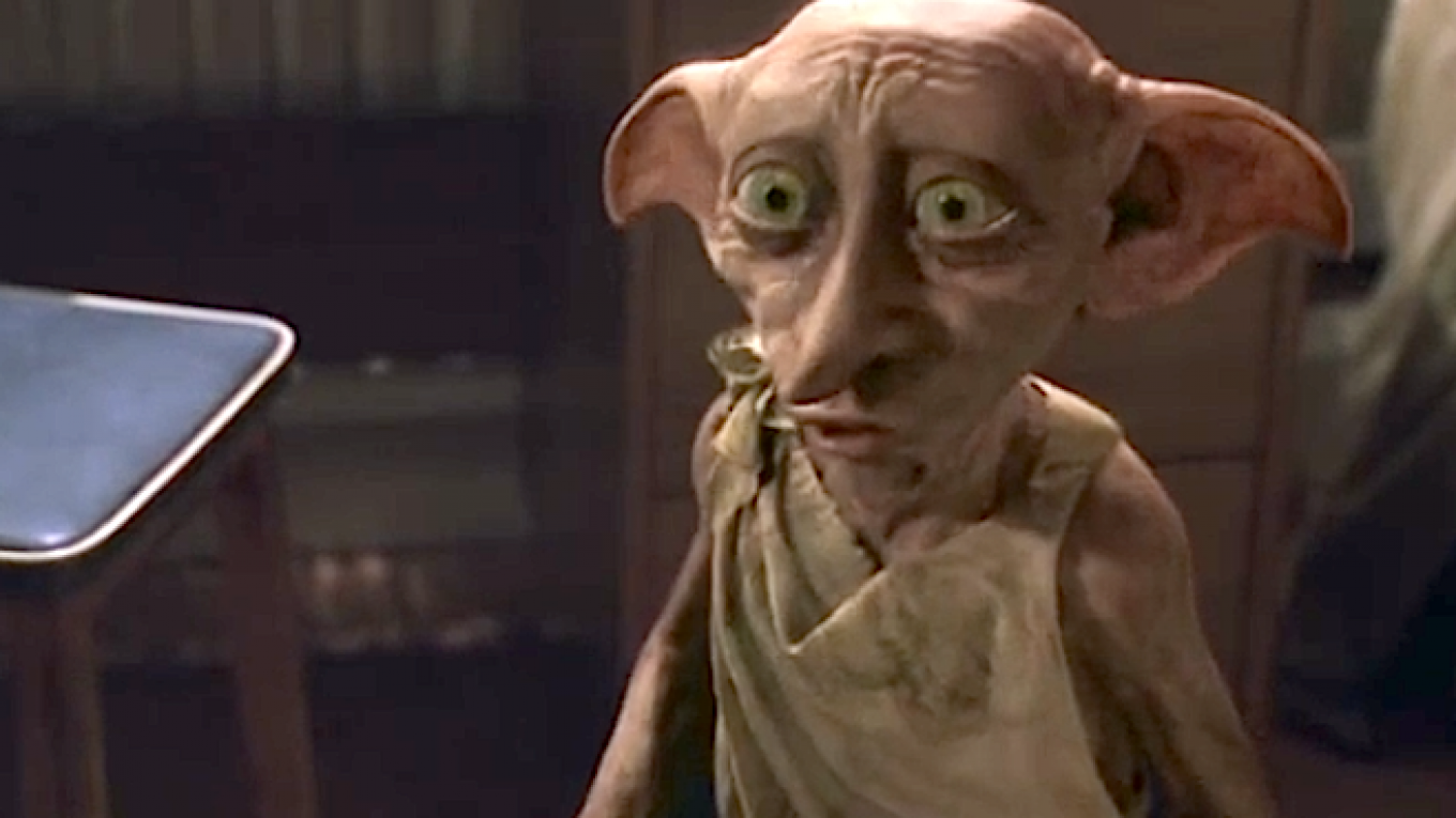 Russian lawyers say Harry Potter character Dobby is based on Putin