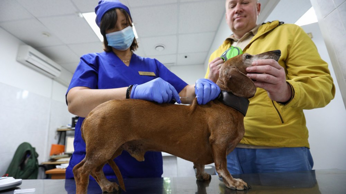 Russia Approves 'World's First' Coronavirus Vaccine for Pets - The Moscow  Times