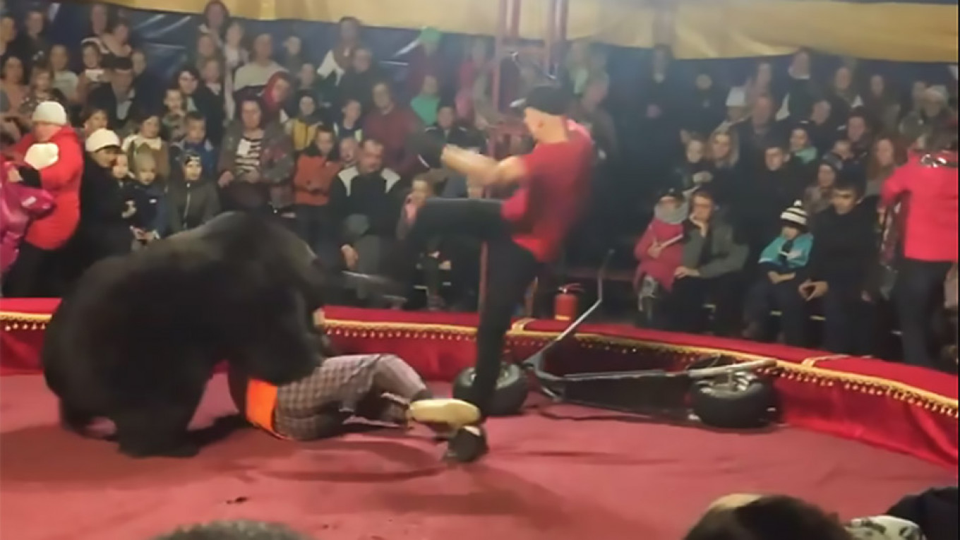 Russian Circus Bear Mauls Trainer During Show - The Moscow Times