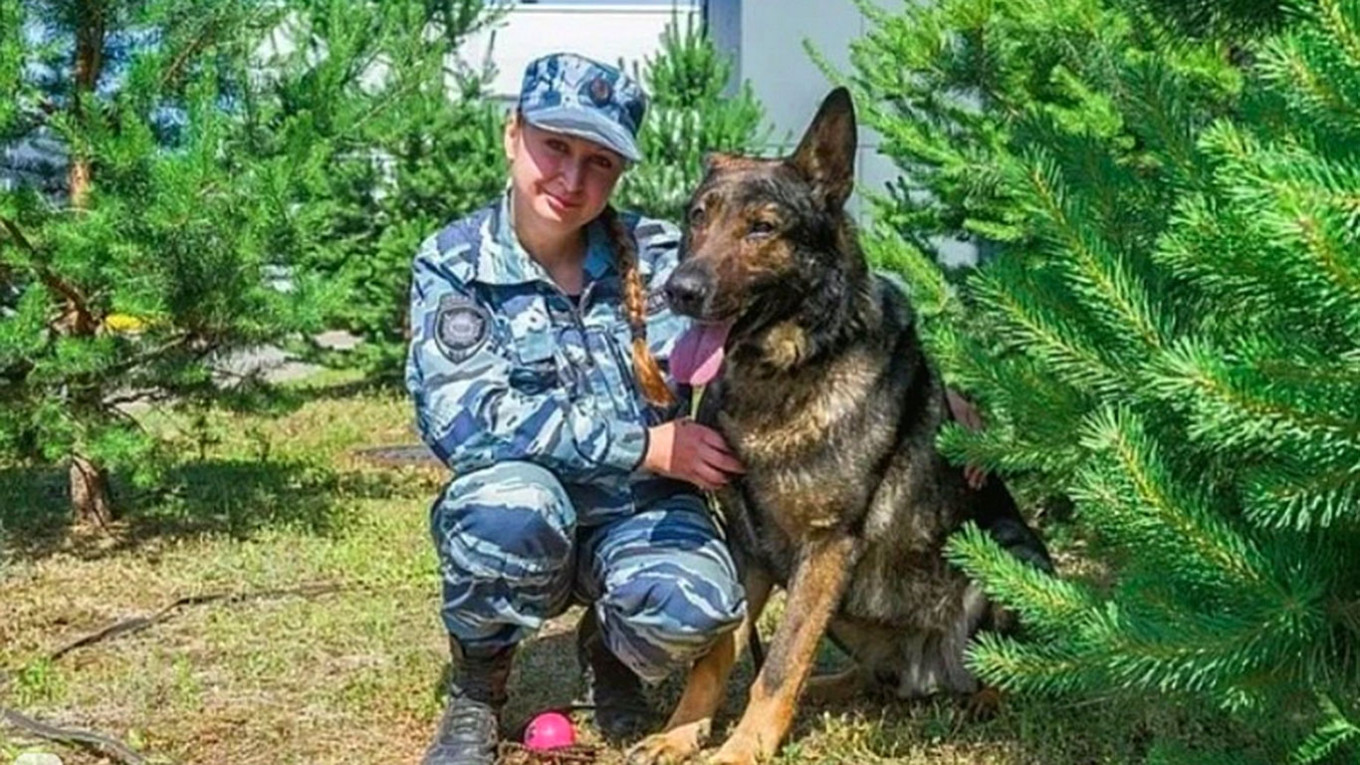 German Shepherd Becomes First Russian Dog to Win Canine Loyalty ...
