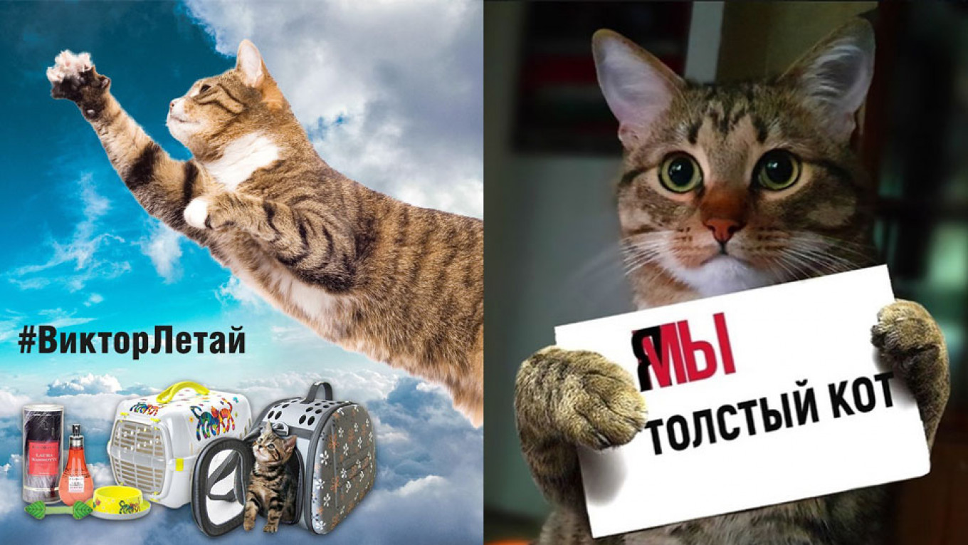 russian cat meme