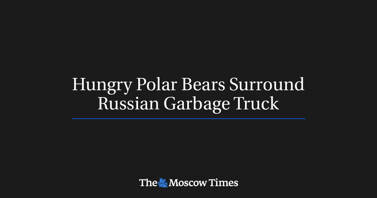 Hungry Polar Bears Surround Russian Garbage Truck - The Moscow Times