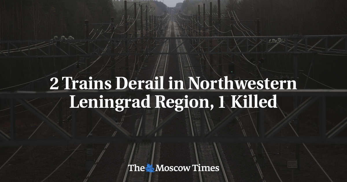 Two Trains Derail in Russian Region, One Killed