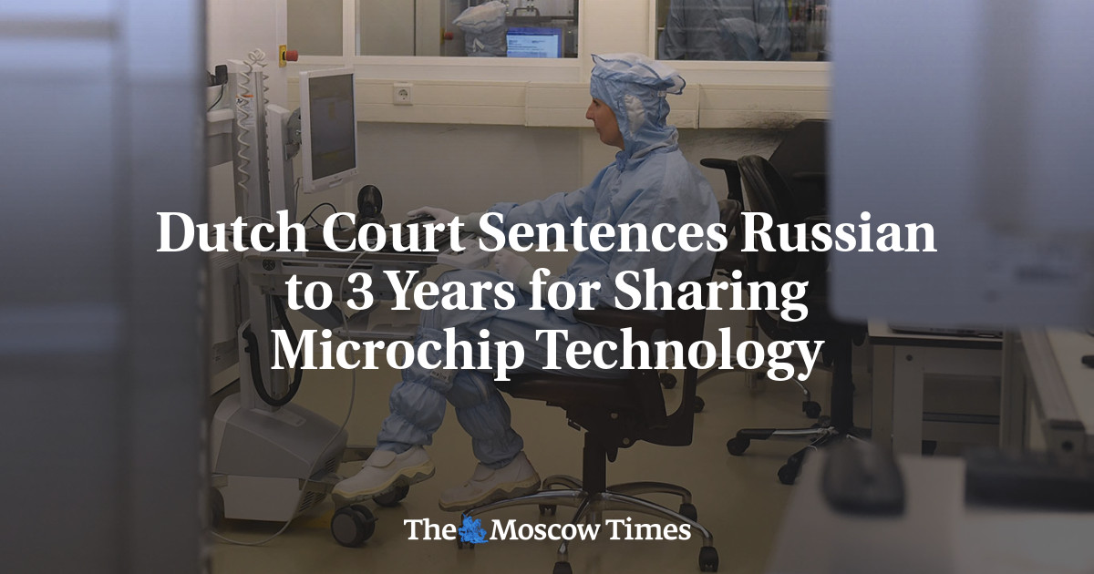 Dutch Court Sentences Russian to 3 Years for Sharing Microchip Technology