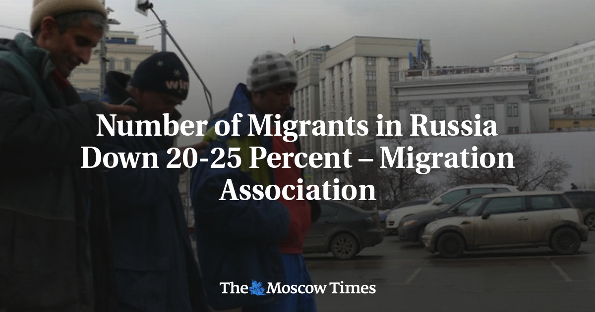 Number of Migrants in Russia Down 20-25 Percent – Migration Association