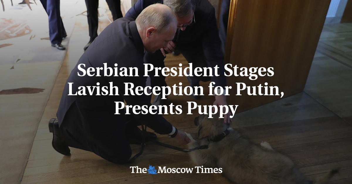 Presiden Serbia Gelar Resepsi Mewah untuk Putin, Menghadirkan Anak Anjing