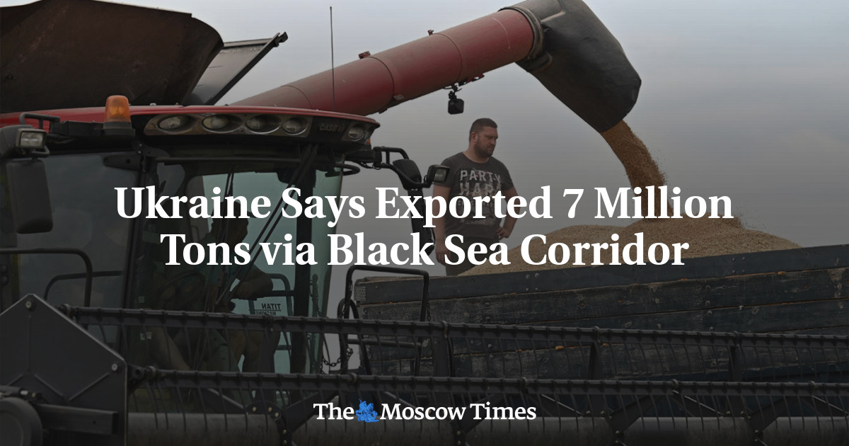 Украина заявляет, что экспортировала 7 млн ​​тонн через Черноморский коридор
