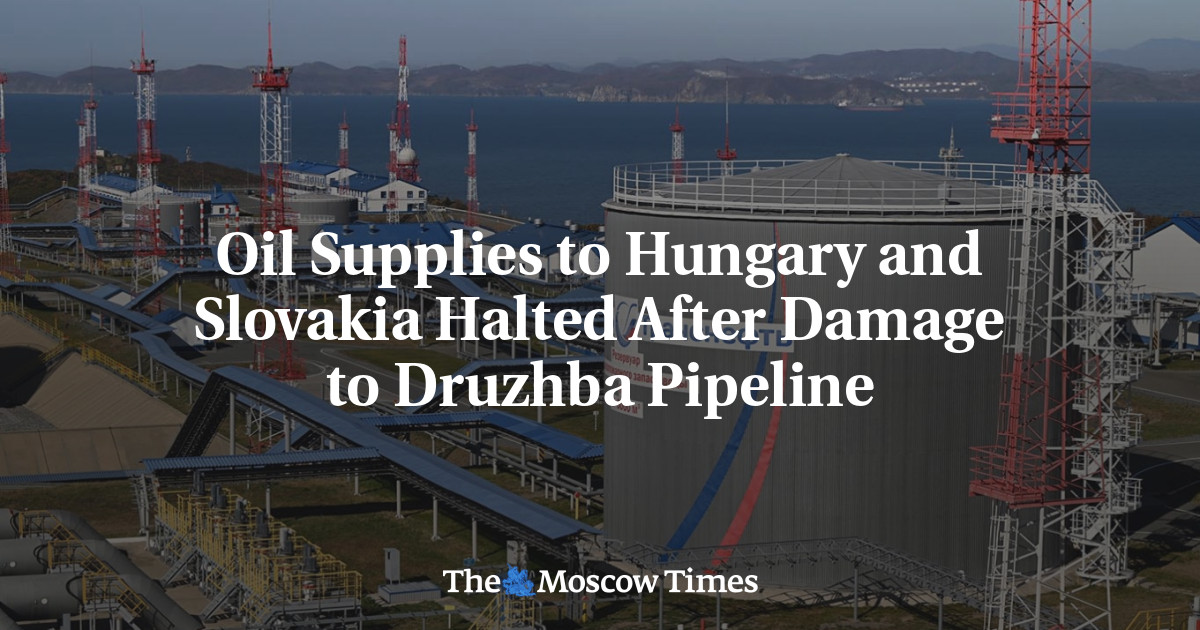 Oil Supplies to Hungary and Slovakia Halted After Damage to Druzhba Pipeline