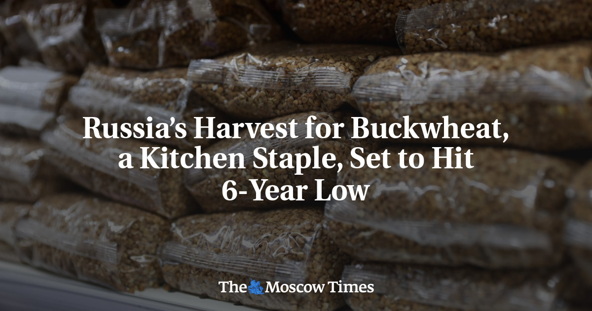 Russia’s Harvest for Buckwheat, a Kitchen Staple, Set to Hit 6-Year Low