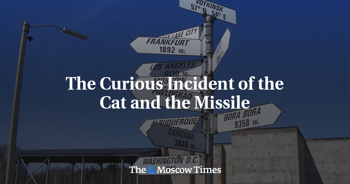 Kejadian aneh tentang kucing dan misil