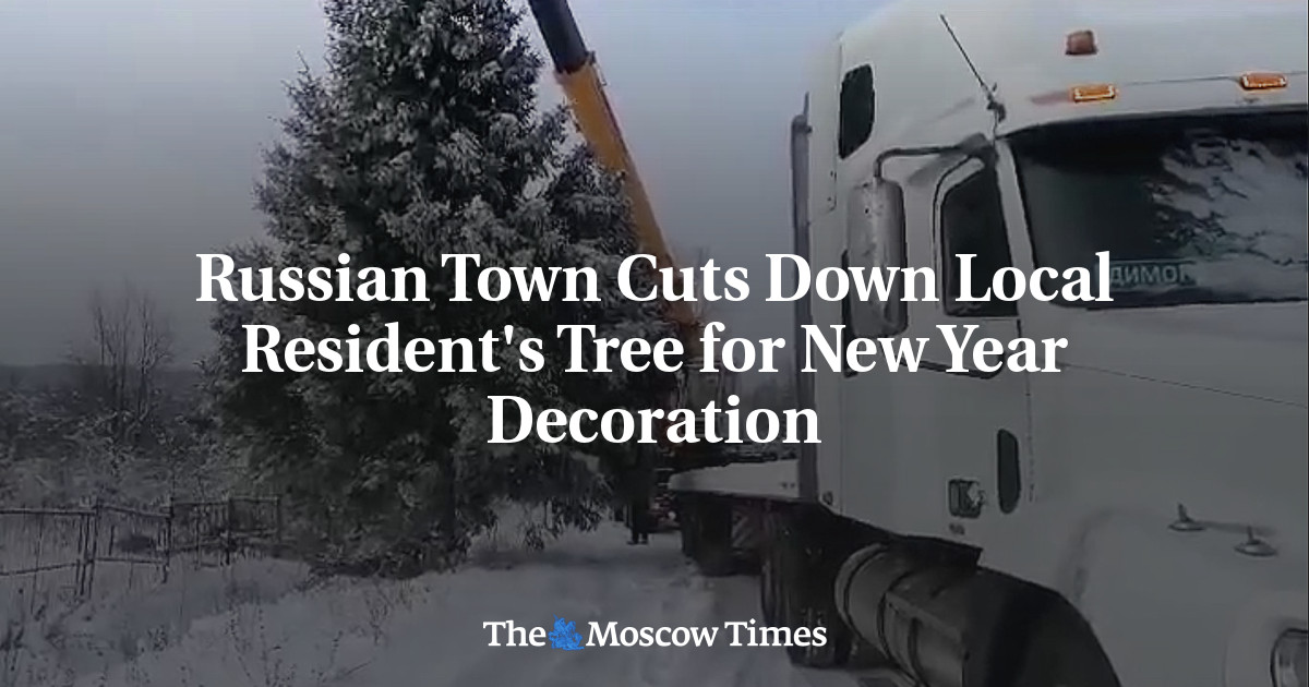 Russian Town Cuts Down Local Resident's Tree for New Year Decoration