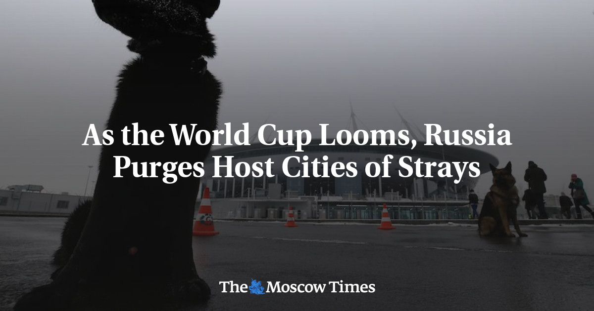 Menjelang Piala Dunia, Rusia membersihkan kota-kota tuan rumah yang tersesat