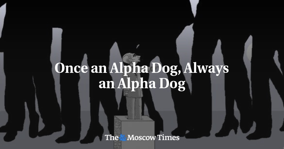 Showing Your Dog You Are The Alpha – MRVQ
