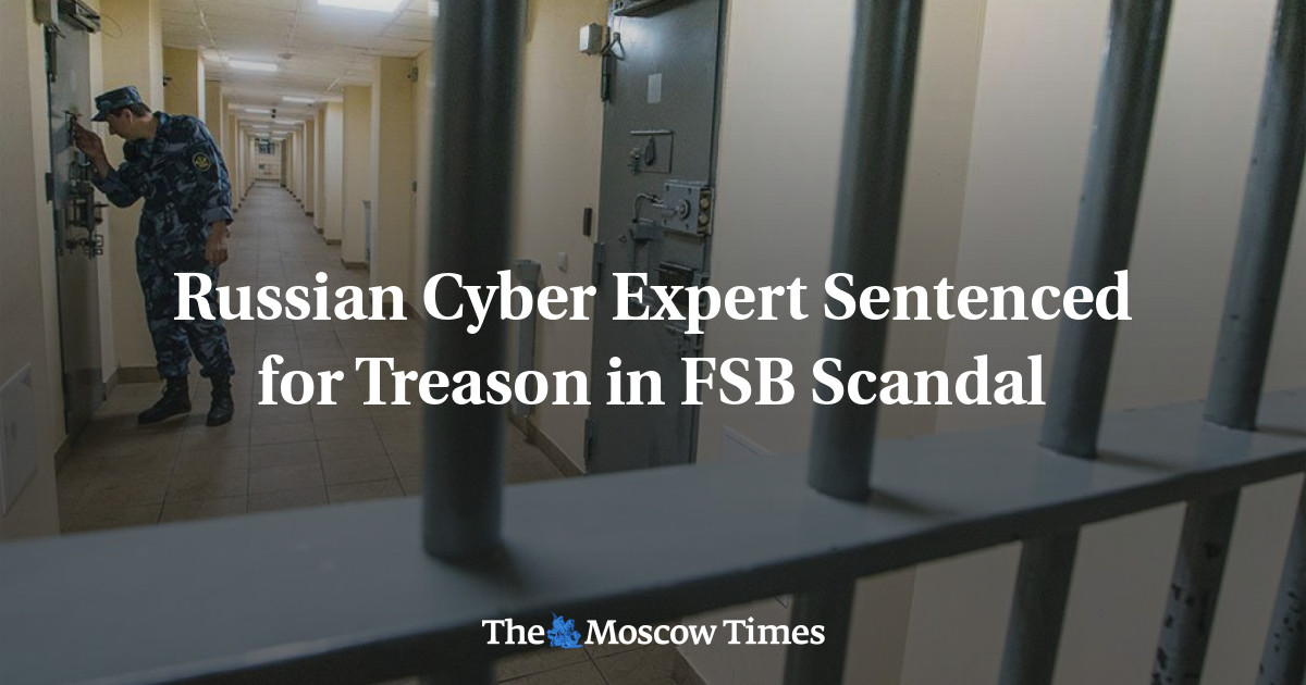 Russian Cyber Expert Sentenced For Treason In FSB Scandal - The Moscow ...