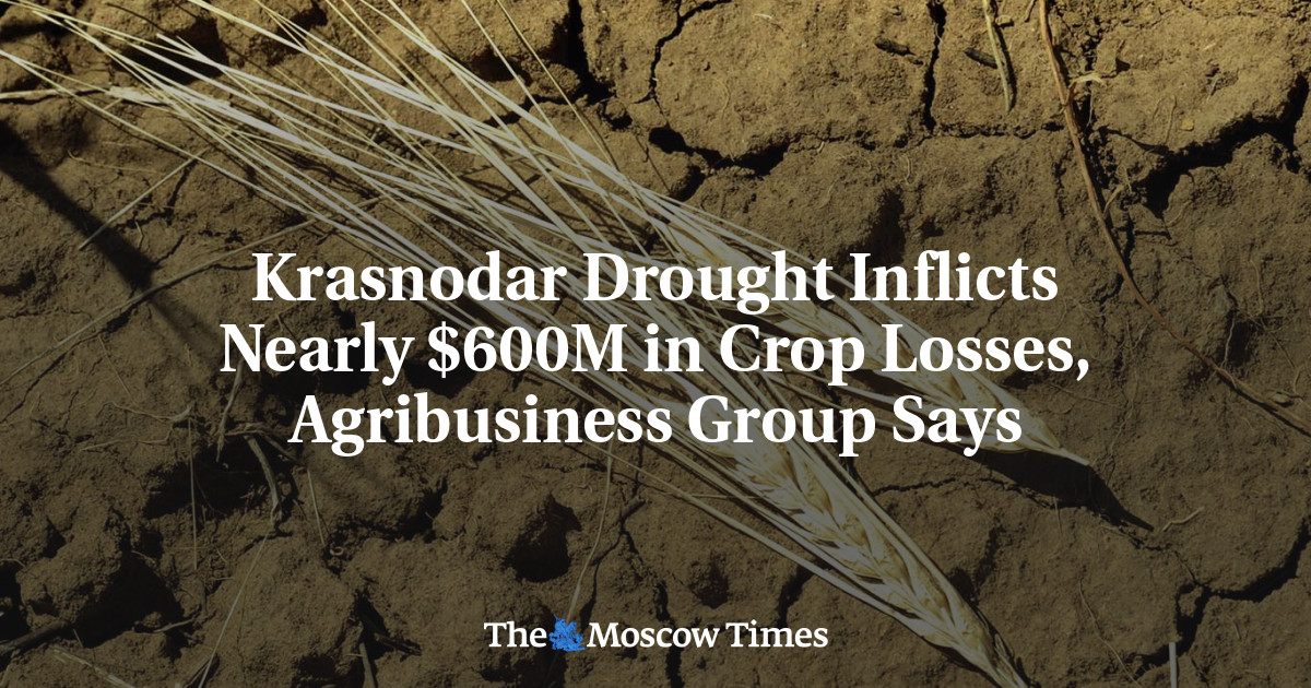 Krasnodar Drought Inflicts Nearly $600M in Crop Losses, Agribusiness Group Says