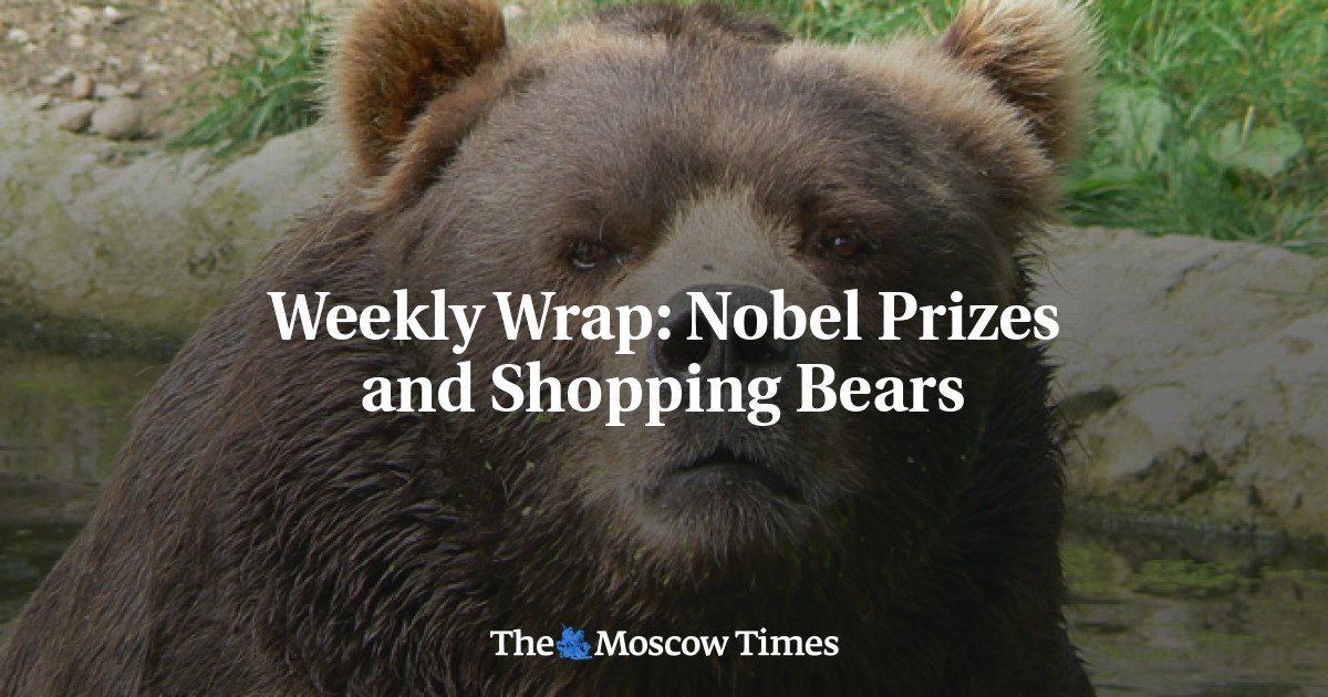 Hadiah Nobel dan beruang belanja