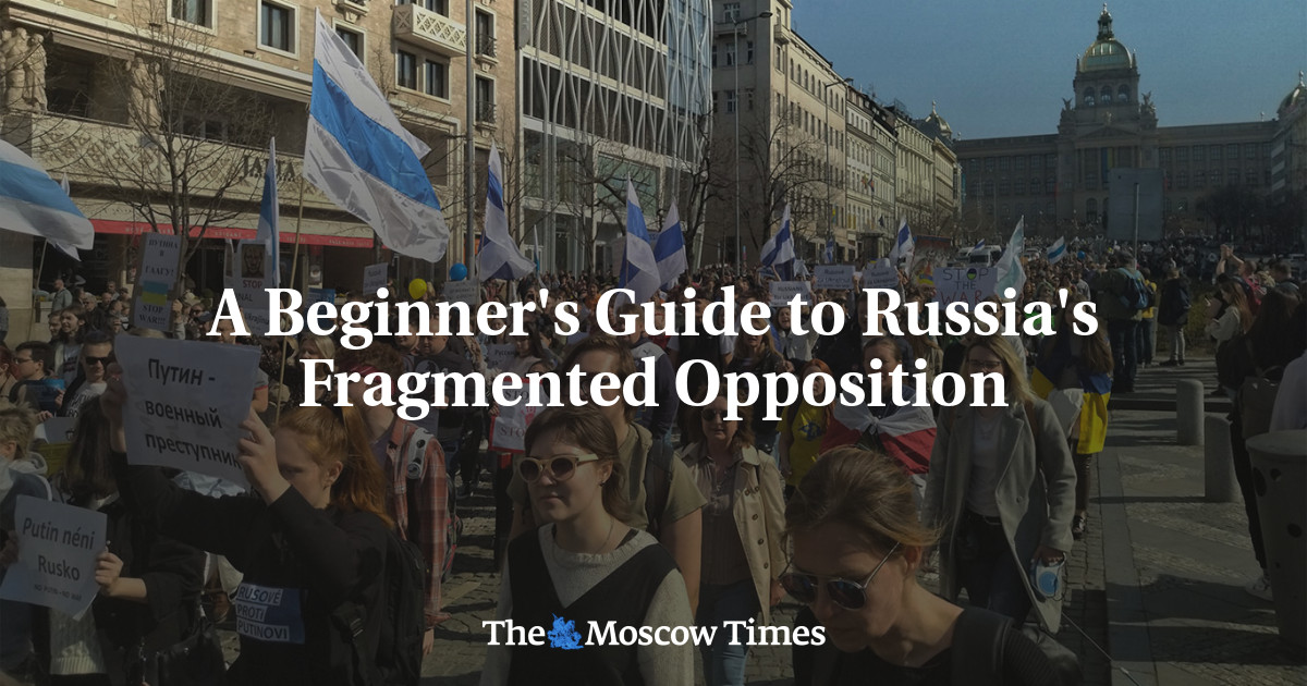 A Beginner's Guide to Russia's Fragmented Opposition - The Moscow Times