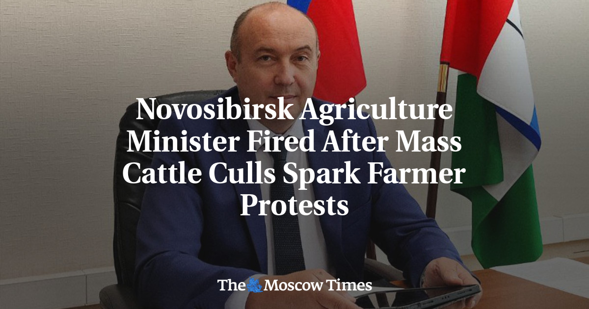 Novosibirsk Agriculture Minister Fired After Mass Cattle Culls Spark Farmer Protests
