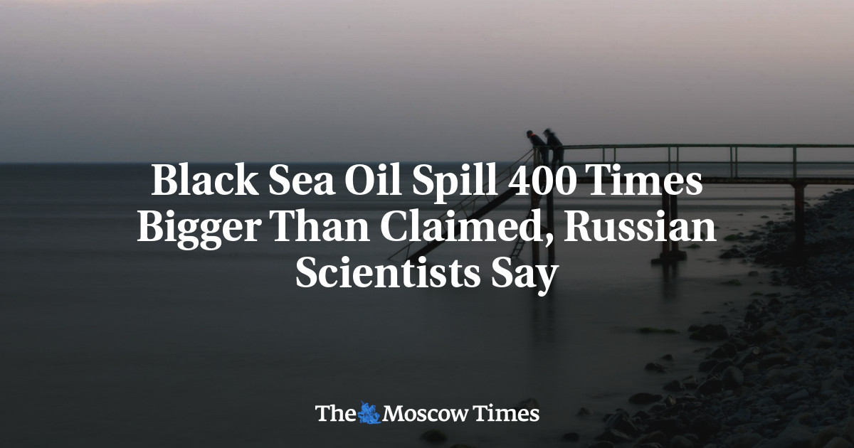 Black Sea Oil Spill 400 Times Bigger Than Claimed, Russian Scientists