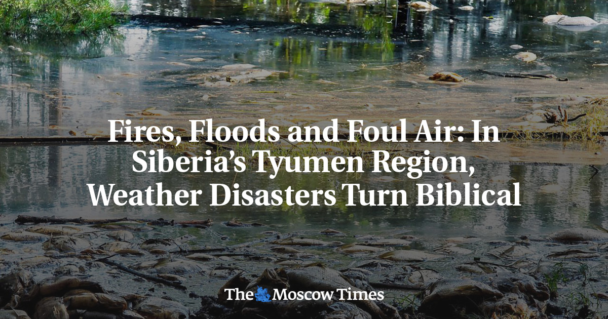 Fires, Floods and Foul Air: In Siberia’s Tyumen Region, Weather Disasters Turn Biblical