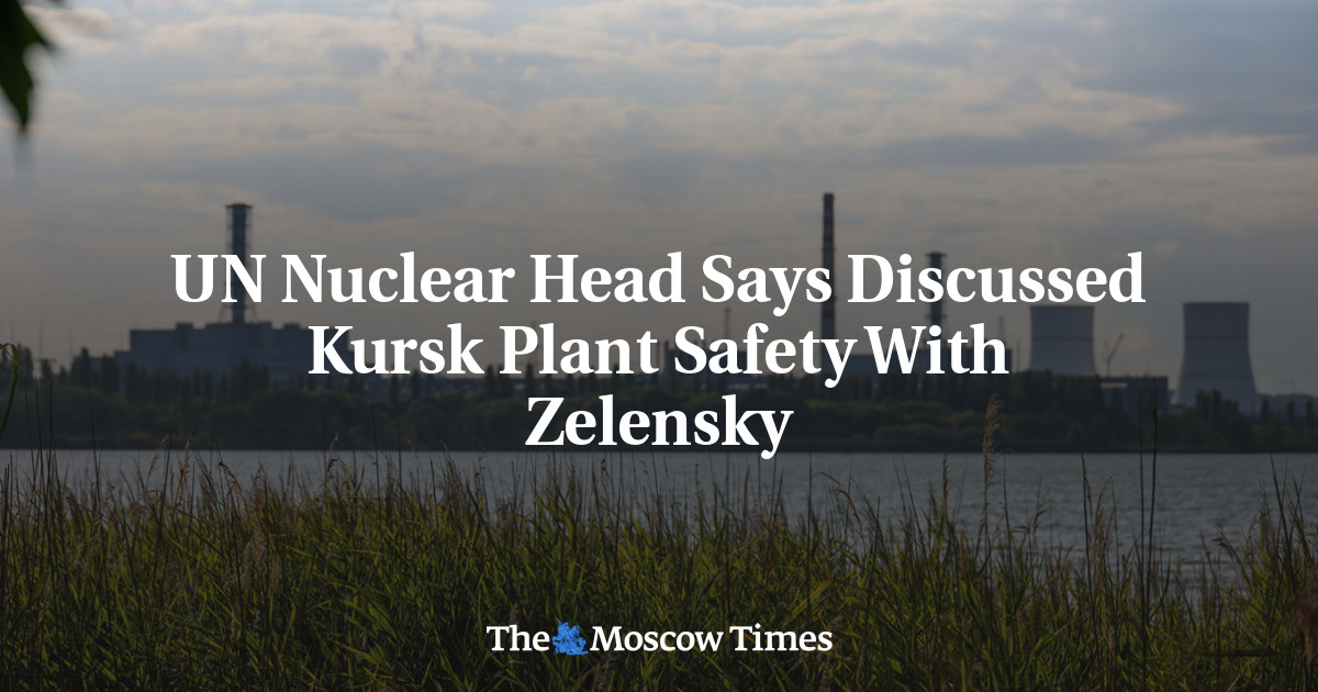 UN Nuclear Head Says Discussed Kursk Plant Safety With Zelensky