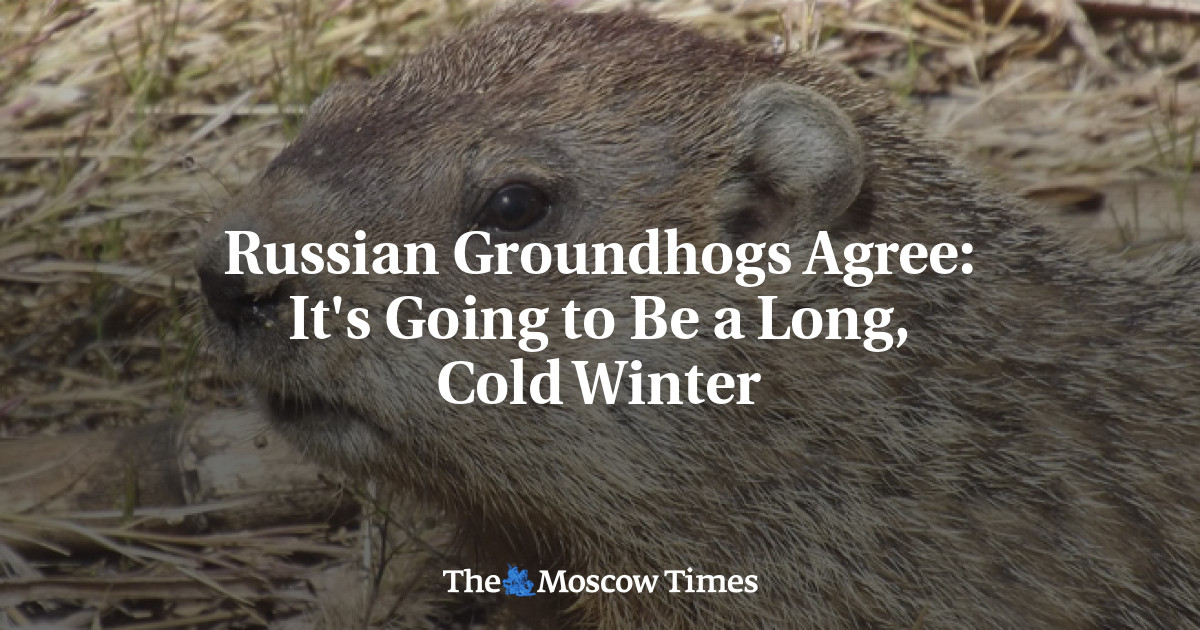 groundhog day this winter is never going to end