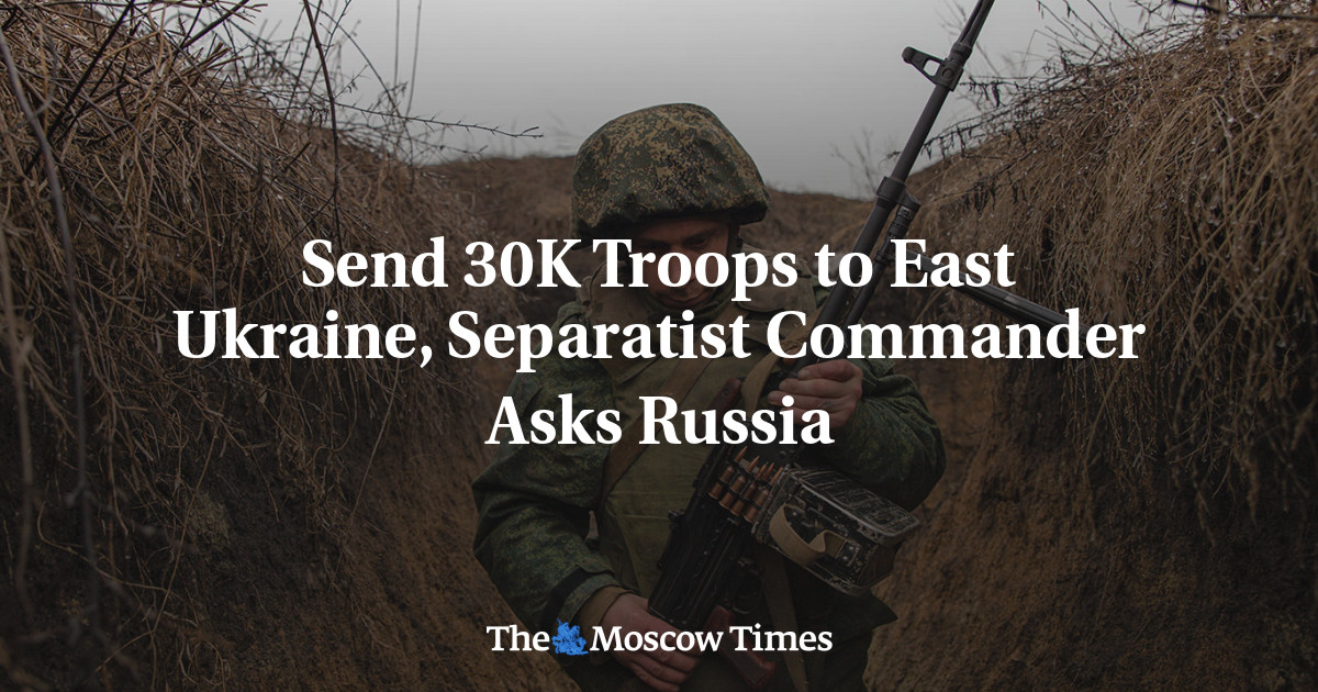 Send 30k Troops To East Ukraine Separatist Commander Asks Russia The Moscow Times 4640