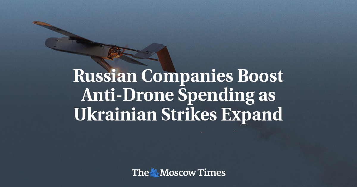 Russian Companies Boost Anti-Drone Spending as Ukrainian Strikes Expand